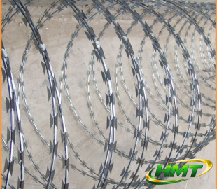 Lưới thép gai sắc nhọn